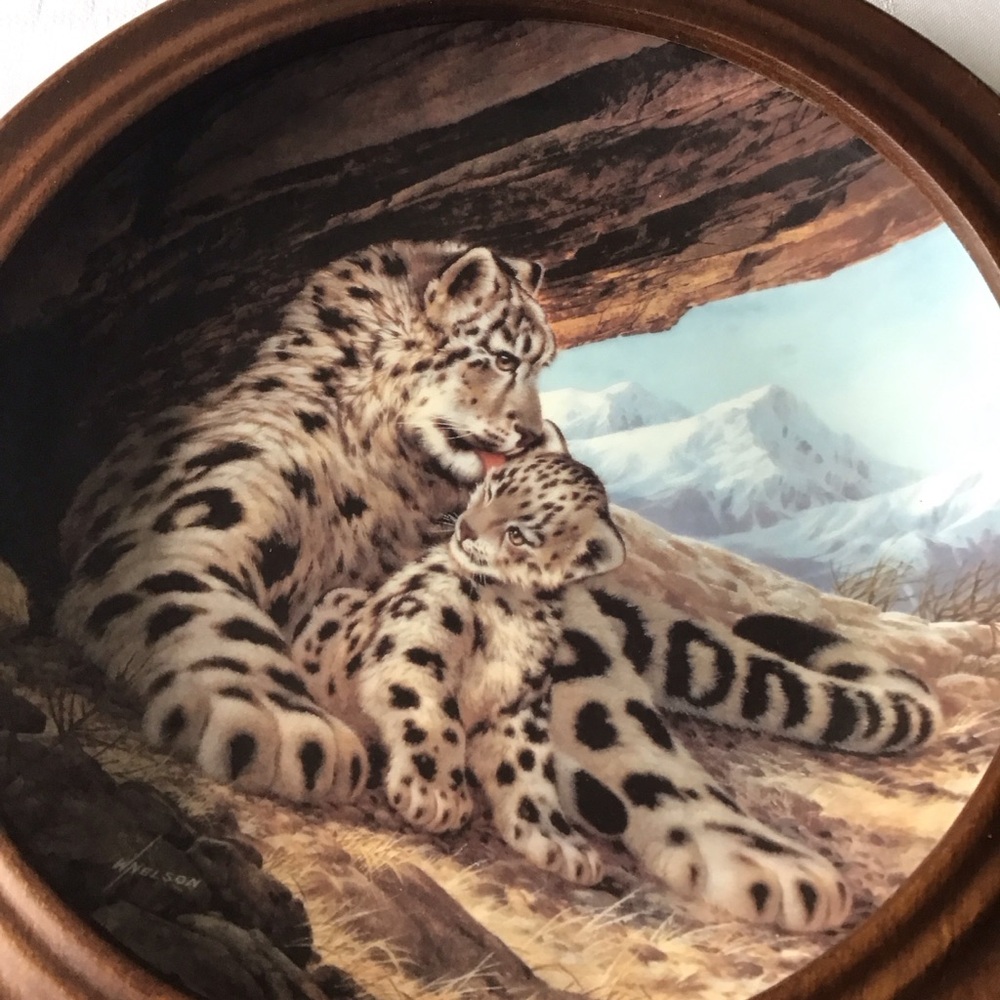 W S George - The Snow Leopard Plate with Van Hygan & Smythe Display Frame - Picture 2 of 12
